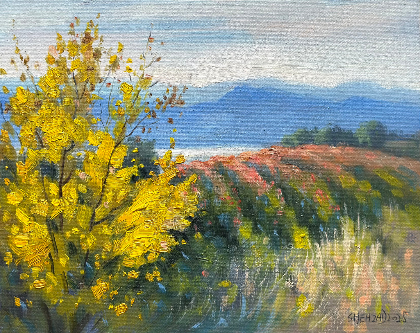 Beautiful Okanagan Orchards oil painting - 10x8 inch Canvas Panel- British Columbia