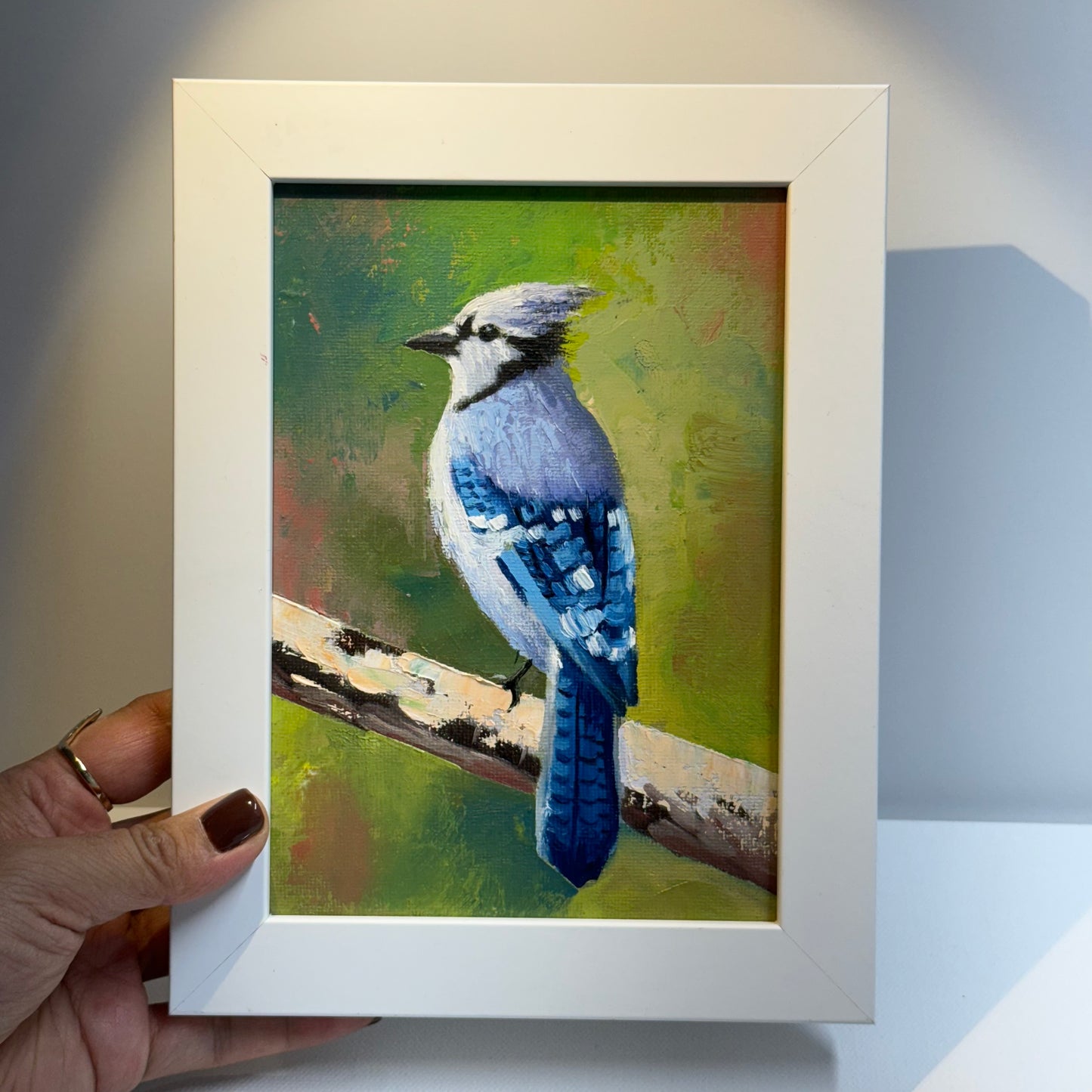 5"x7" Majestic Blue Jay Bird - Original Oil Painting on canvas panel | Hand-Painted Wildlife Art for Bird Lovers