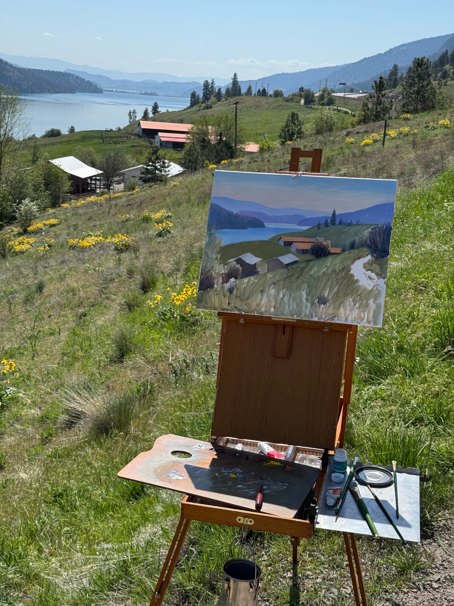 Original oil painting on canvas- Kalamalka Lake Hillside View 20"x16" canvas