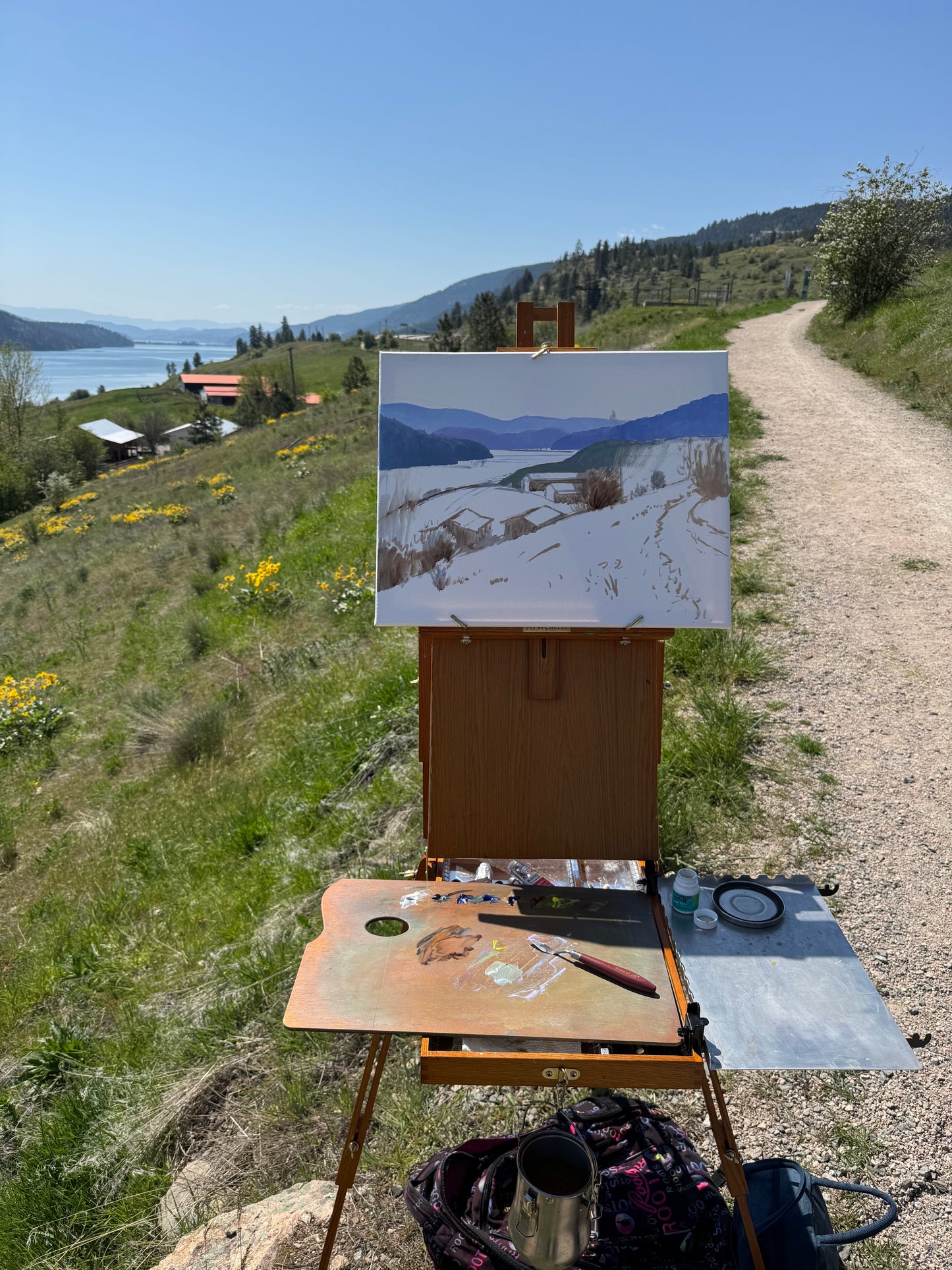 Original oil painting on canvas- Kalamalka Lake Hillside View 20"x16" canvas