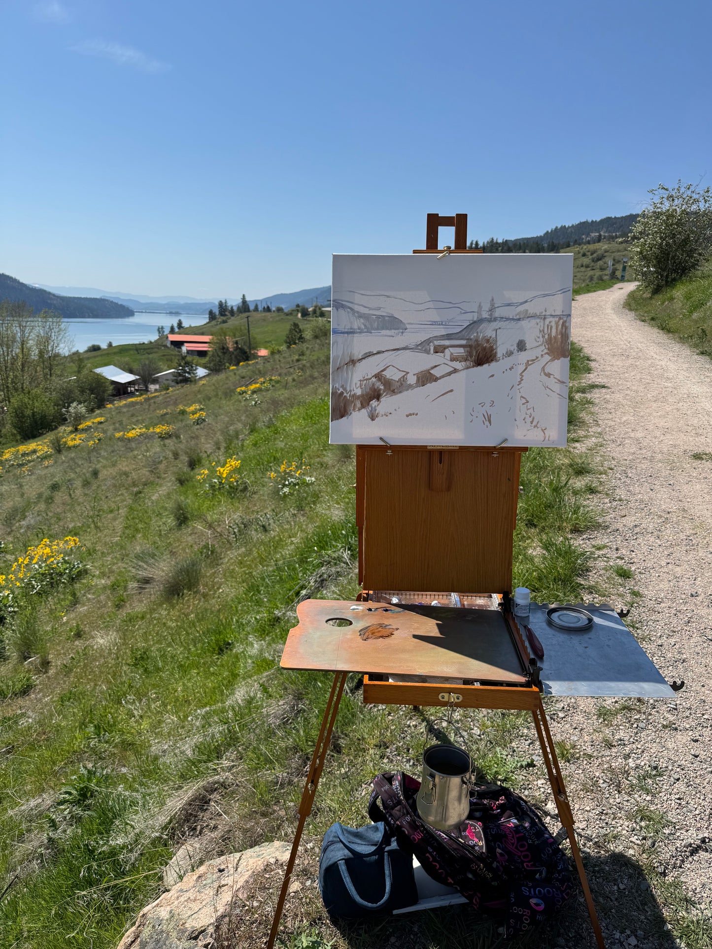 Original oil painting on canvas- Kalamalka Lake Hillside View 20"x16" canvas