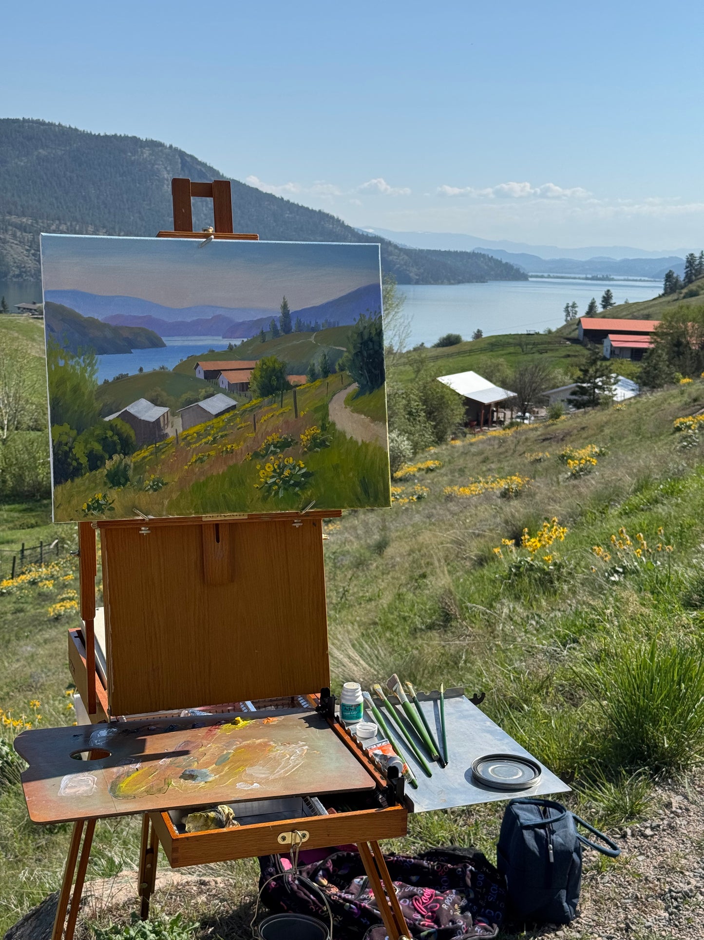 Original oil painting on canvas- Kalamalka Lake Hillside View 20"x16" canvas
