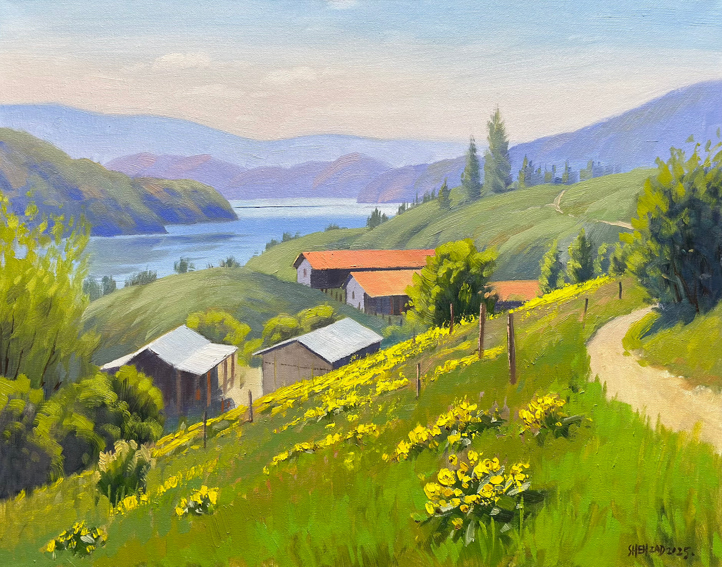 Original oil painting on canvas- Kalamalka Lake Hillside View 20"x16" canvas