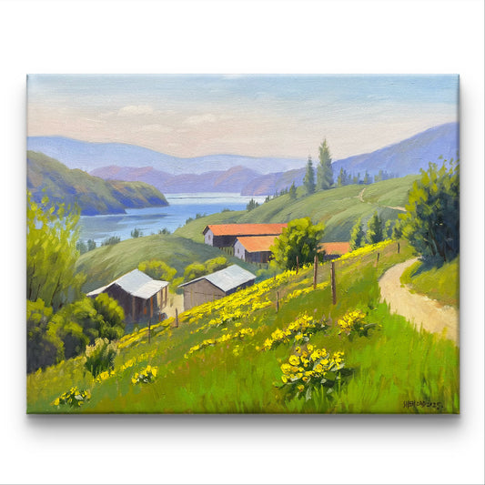 Original oil painting on canvas- Kalamalka Lake Hillside View 20"x16" canvas