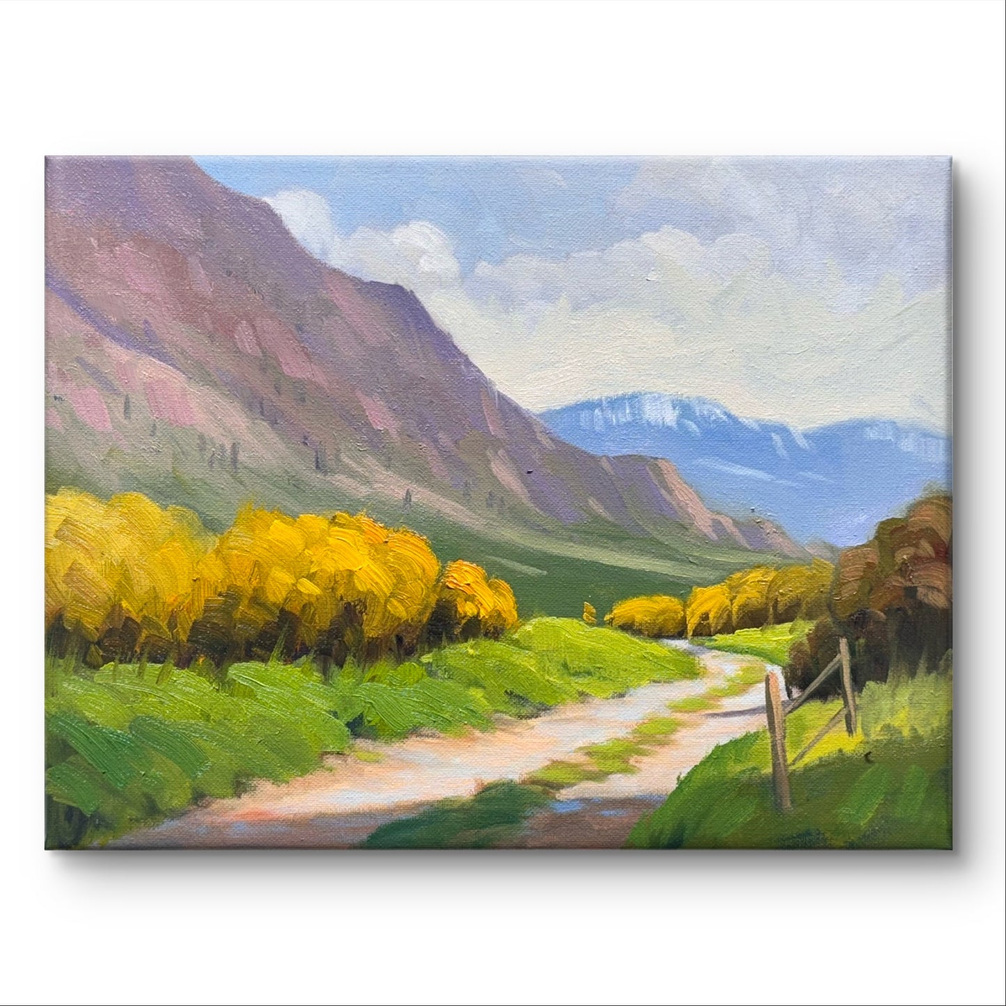 Path Through the Painted Hills 14x11 inch canvas- My Original Artwork painted by me.