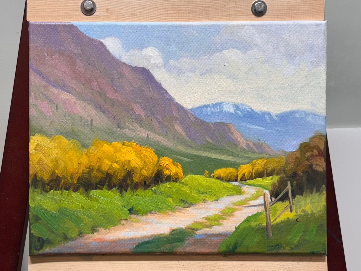 Path Through the Painted Hills 14x11 inch canvas- My Original Artwork painted by me.