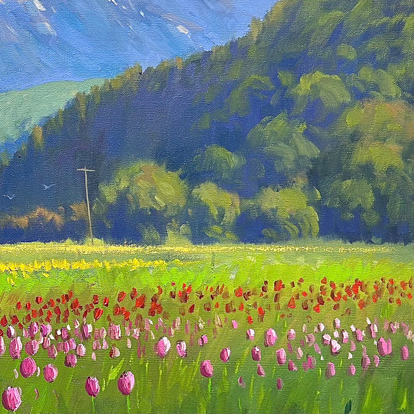 The Colors of Harrison Tulip Festival” Oil painting 4x2 Ft -Gallery Quality Canvas