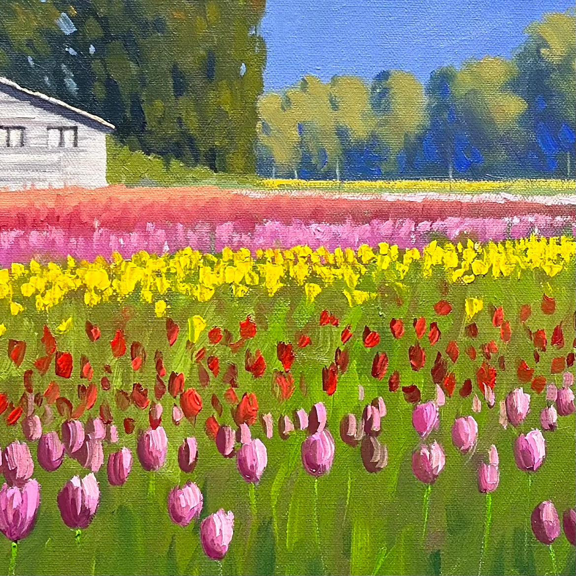 The Colors of Harrison Tulip Festival” Oil painting 4x2 Ft -Gallery Quality Canvas