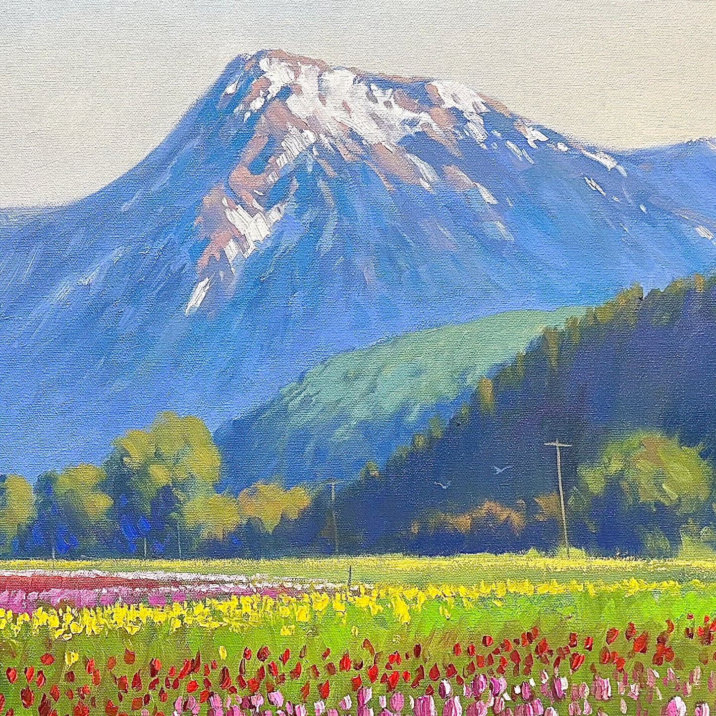 The Colors of Harrison Tulip Festival” Oil painting 4x2 Ft -Gallery Quality Canvas