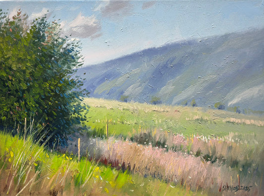 Rolling hills of Vernon - 16x12 inch Original hand painted oil painting on canvas