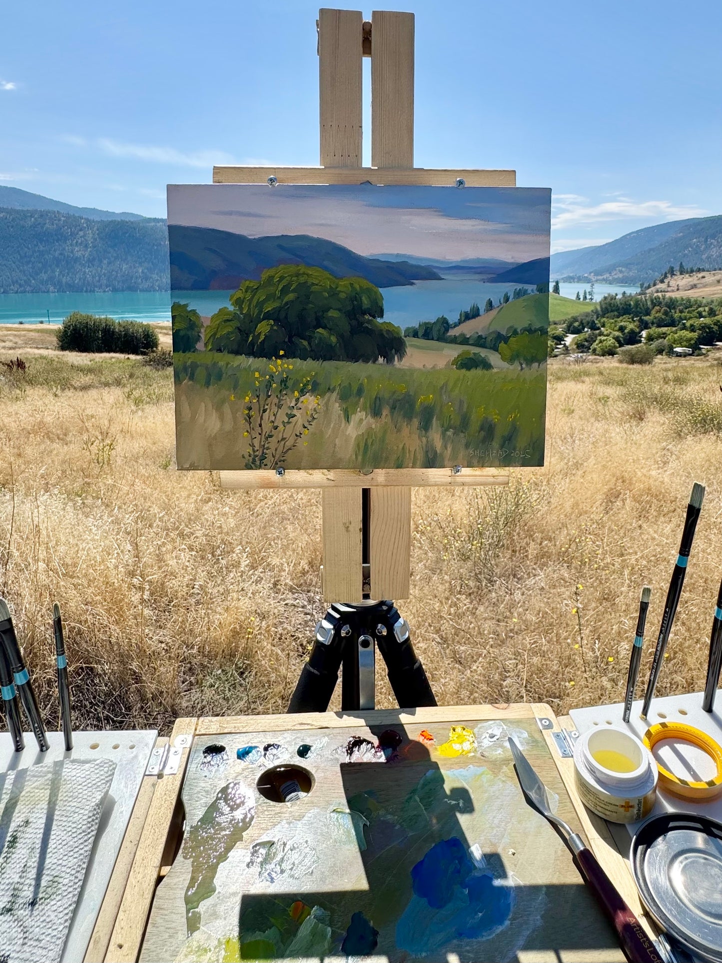Beautiful Lake Oil painting- 12x9inch Canvas Panel- On spot oil painting