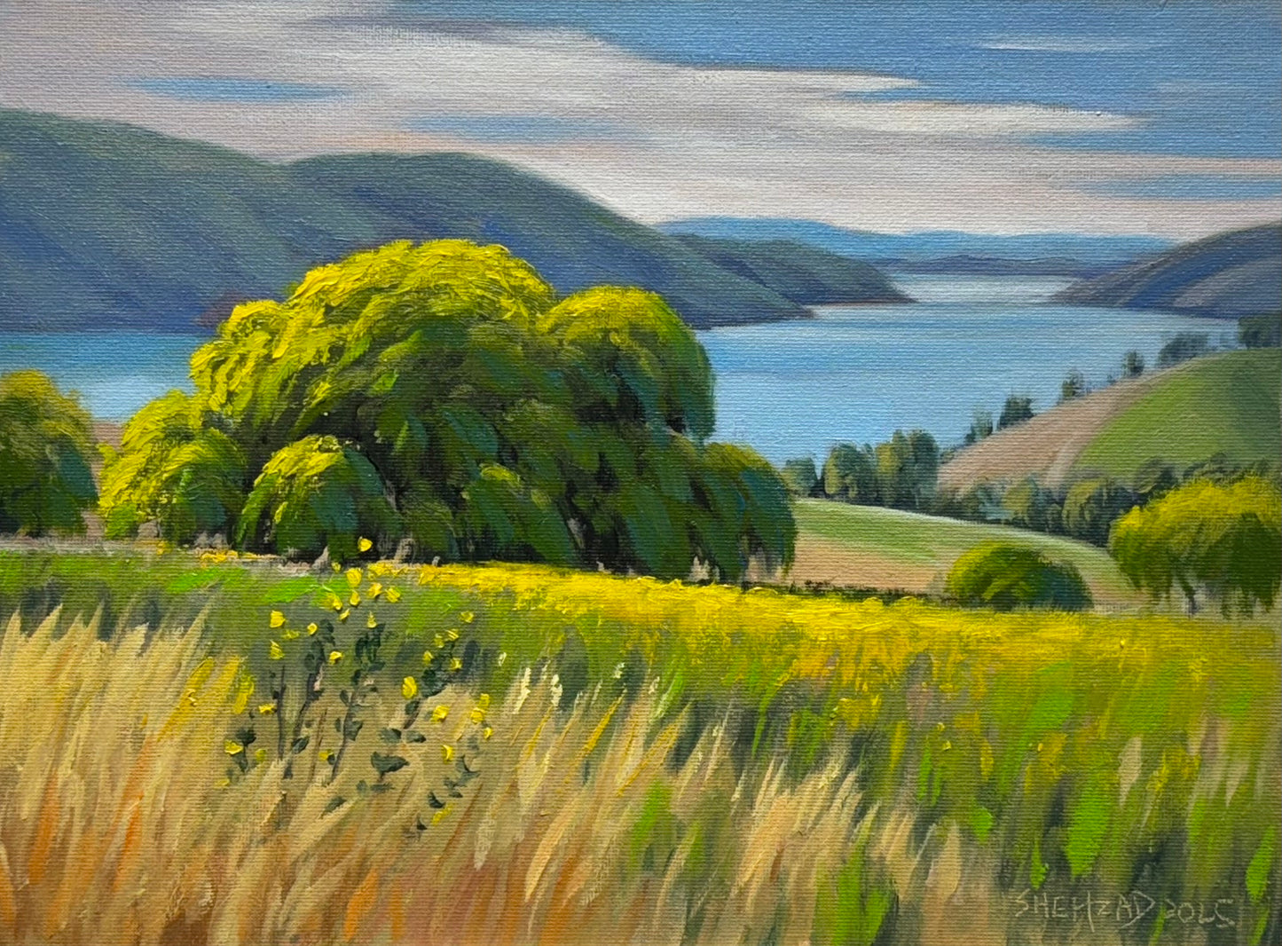 Beautiful Lake Oil painting- 12x9inch Canvas Panel- On spot oil painting