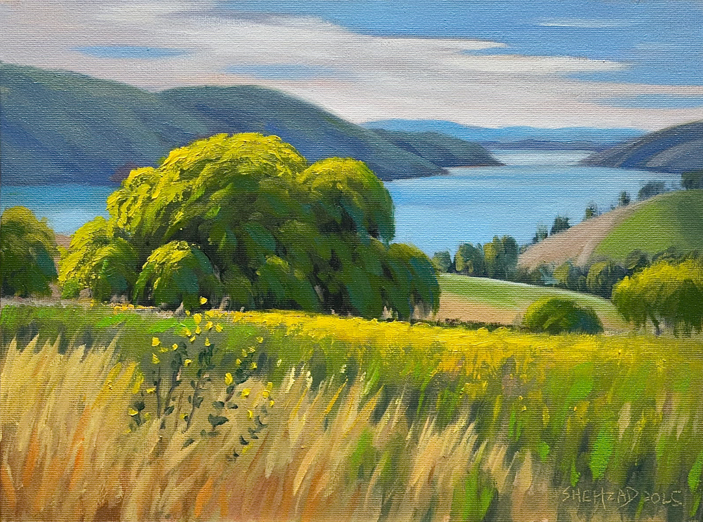 Beautiful Lake Oil painting- 12x9inch Canvas Panel- On spot oil painting