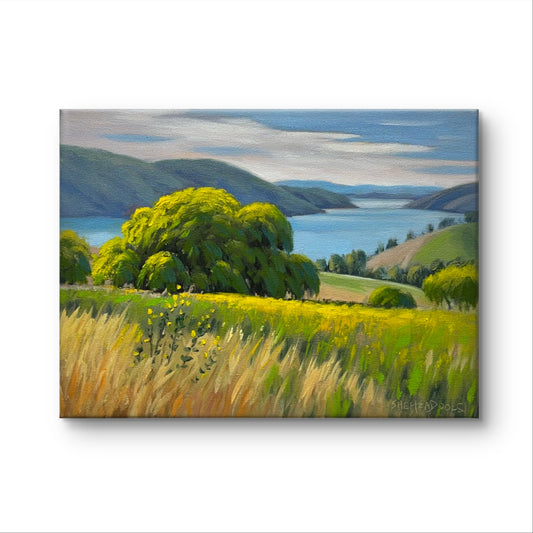Beautiful Lake Oil painting- 12x9inch Canvas Panel- On spot oil painting
