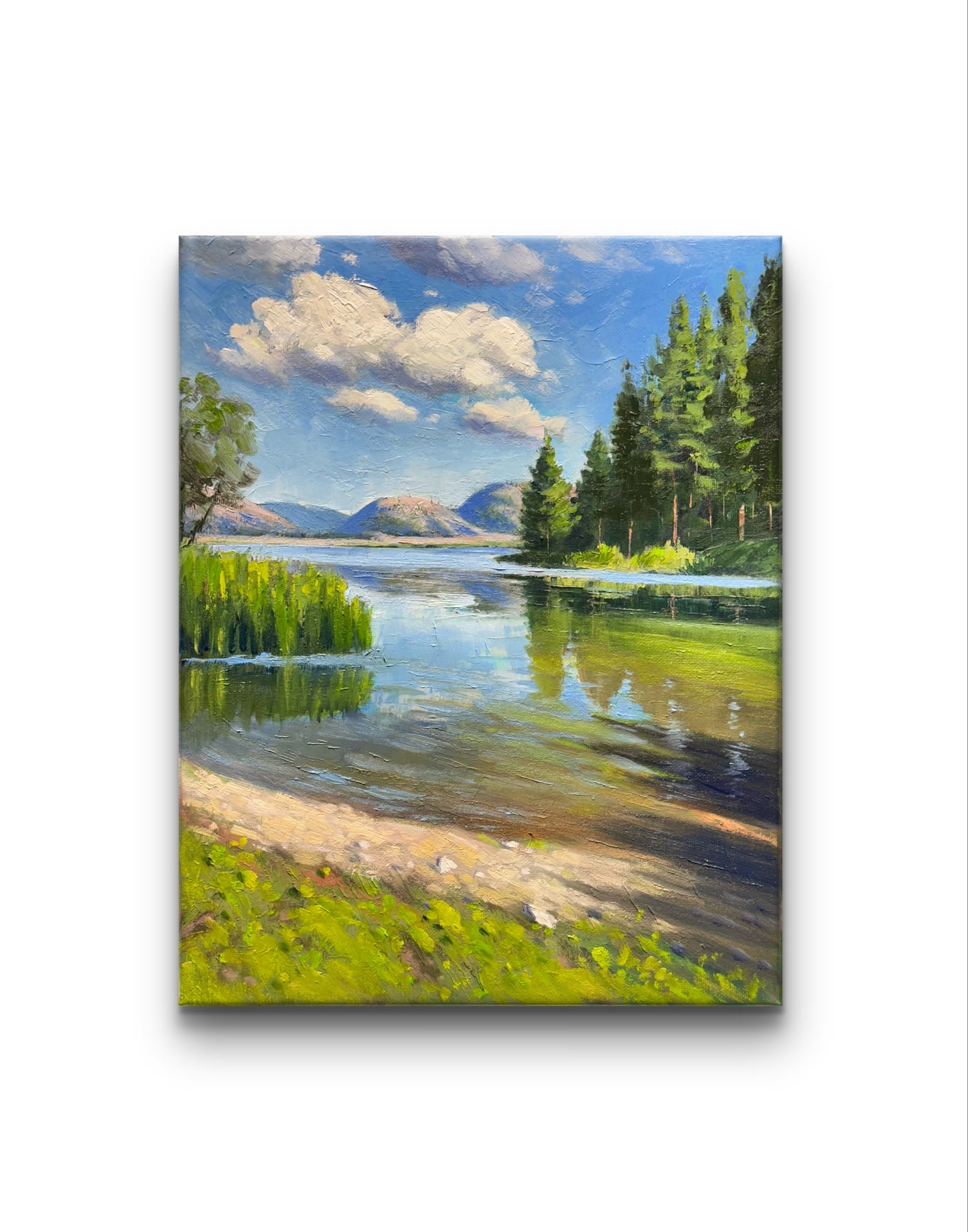 11"x14" Kelowna Shannon lake landscape hand painted original oil painting on canvas wall home decor