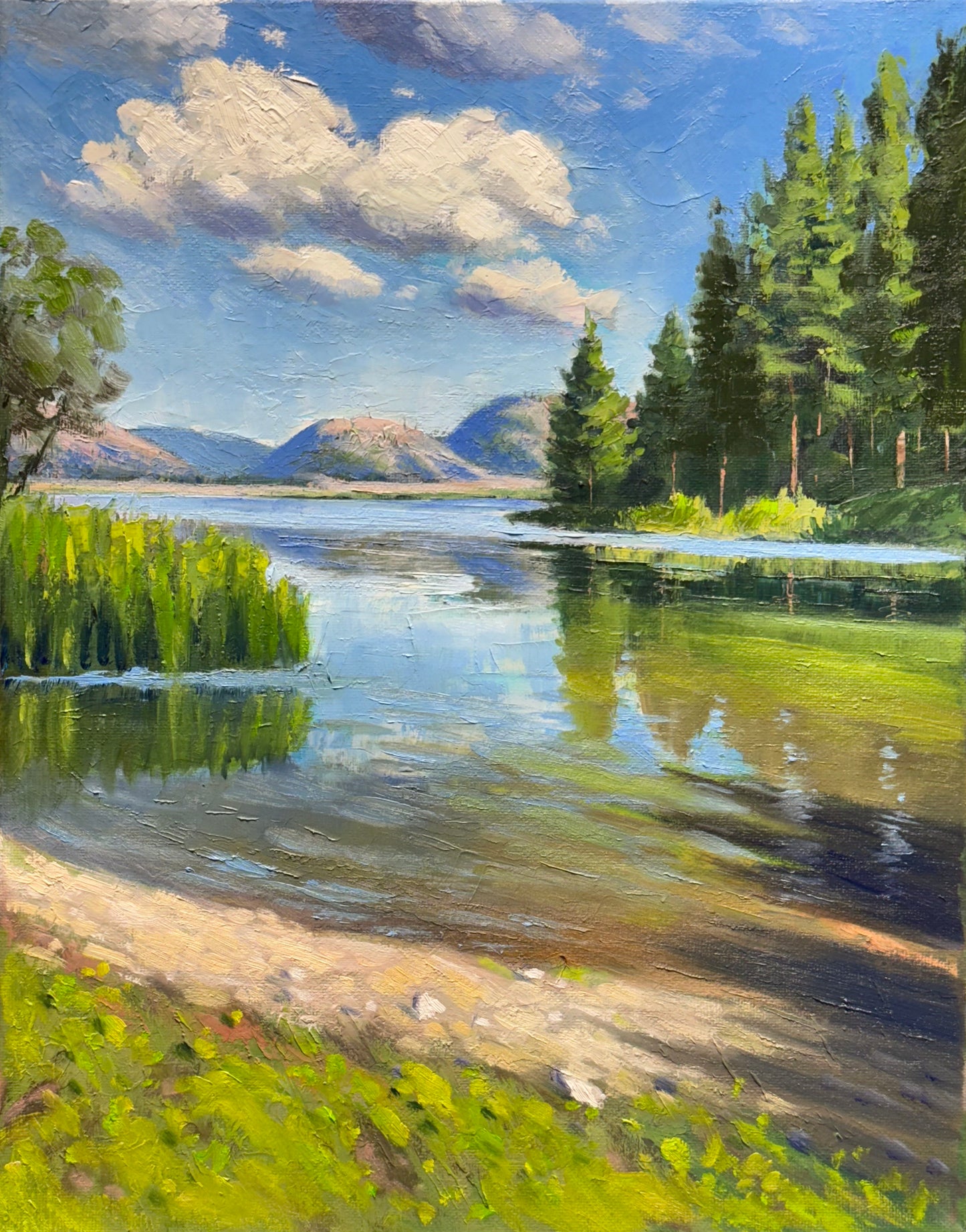 11"x14" Kelowna Shannon lake landscape hand painted original oil painting on canvas wall home decor