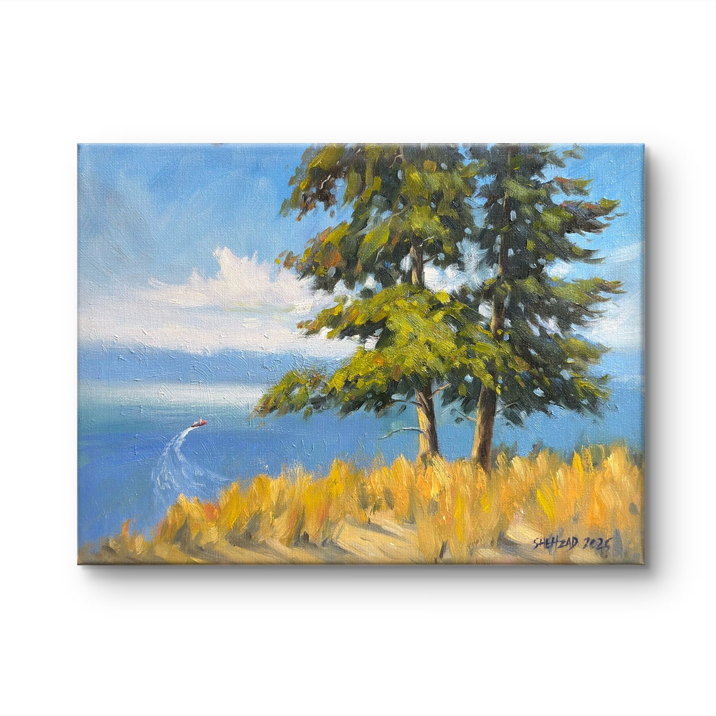 Beautiful okanagan Lake Oil painting- 12x9inch Canvas Panel- On spot oil painting