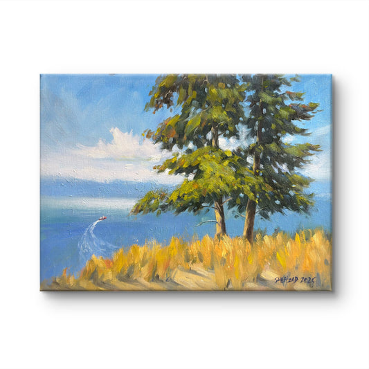 Beautiful okanagan Lake Oil painting- 12x9inch Canvas Panel- On spot oil painting