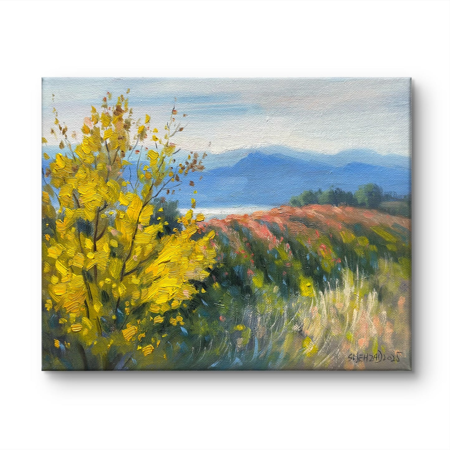 Beautiful Okanagan Orchards oil painting - 10x8 inch Canvas Panel- British Columbia