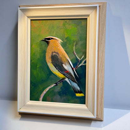 Elegant Cedar Waxwing Bird - Original Oil Painting | Hand-Painted Wildlife Art for Nature Lovers