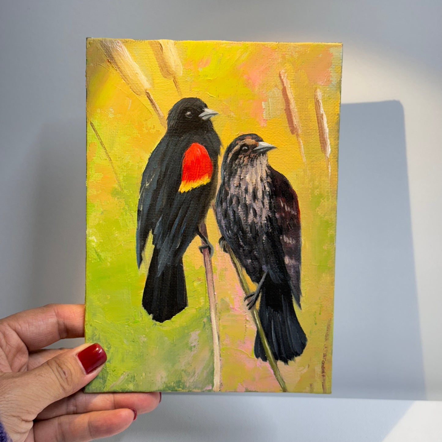 5"x7" Red-Winged Blackbird Pair - Original Oil Painting | Hand-Painted Bird Art for Home Decor