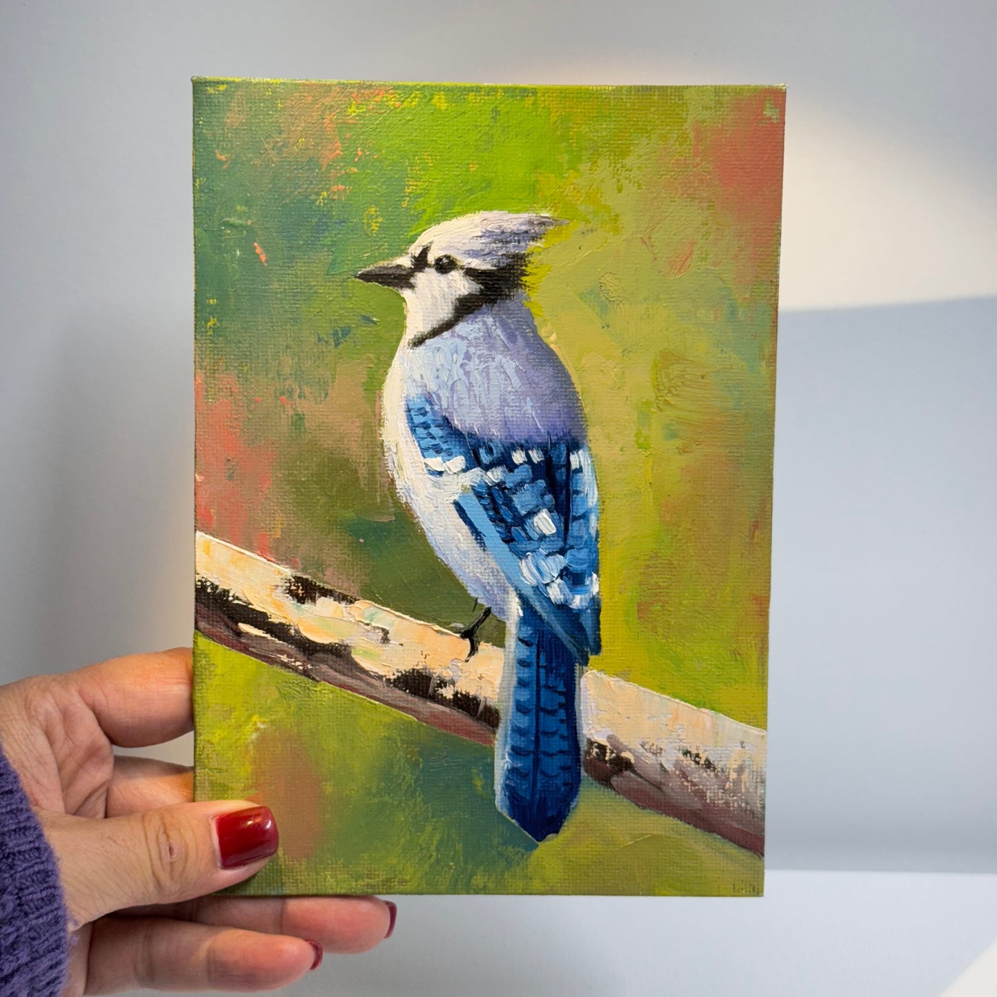 Majestic Blue Jay Bird - Original Oil Painting 5"x7" on canvas panel | Hand-Painted Wildlife Art for Bird Lovers