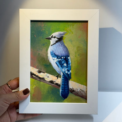 5"x7"  Majestic Blue Jay Bird - Original Oil Painting on canvas panel | Hand-Painted Wildlife Art for Bird Lovers