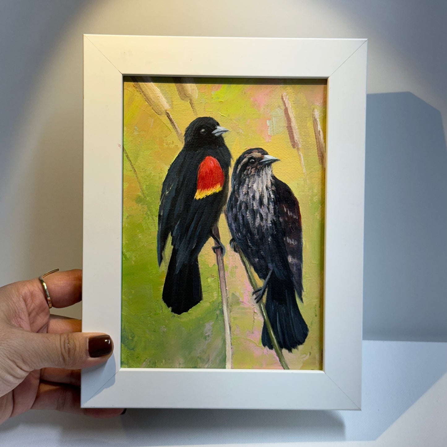 5"x7" Red-Winged Blackbird Pair - Original Oil Painting | Hand-Painted Bird Art for Home Decor