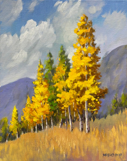 11"x14" Whispers of Autumn: Aspen Serenity Aspen trees Autumn landscape original Oil painting