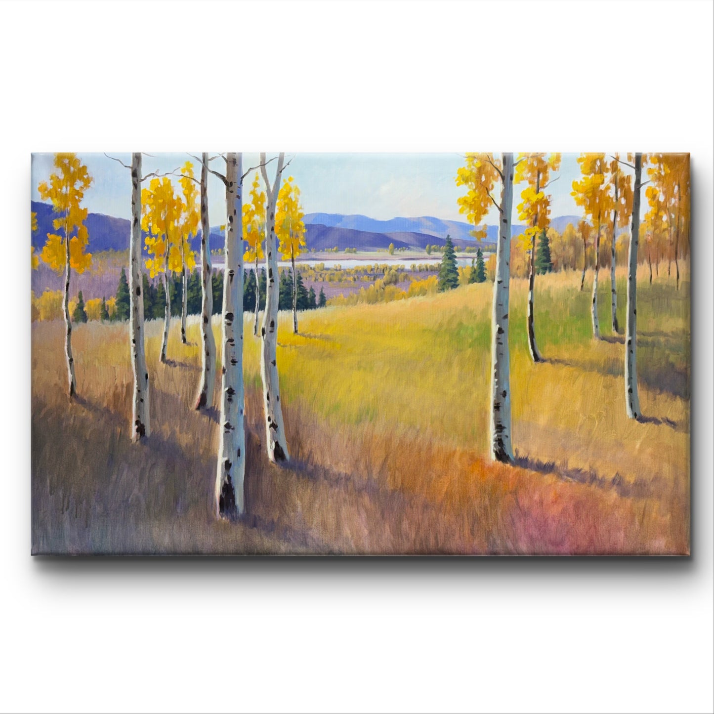 30"x48" Autumn Splendor: Aspen Grove Kidd lake original landscape oil painting wall art