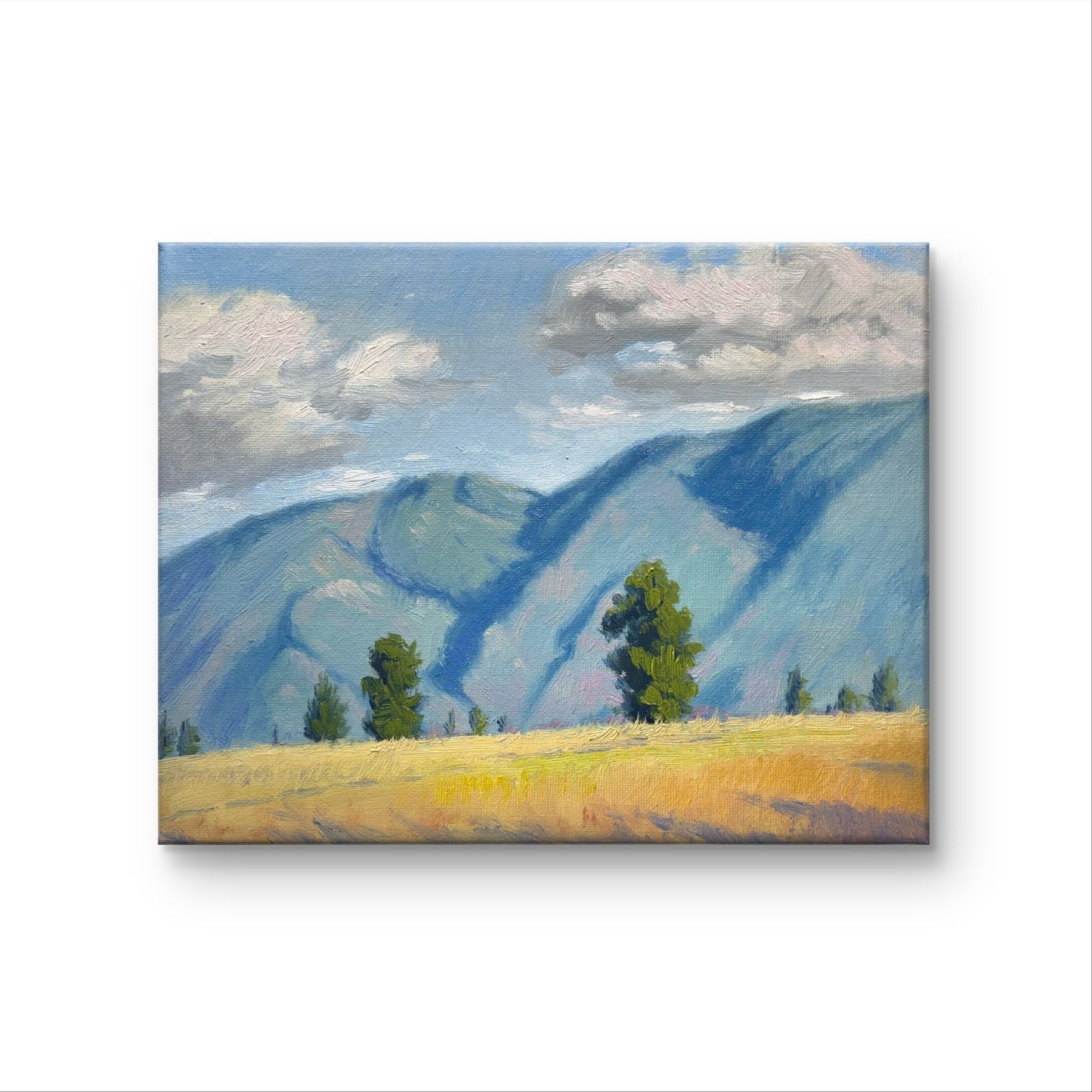 Sunlit valleys in the Okanagan 10"x8"- hand painted without frame home decor