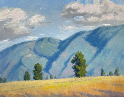 Sunlit valleys in the Okanagan 10"x8"- hand painted without frame home decor