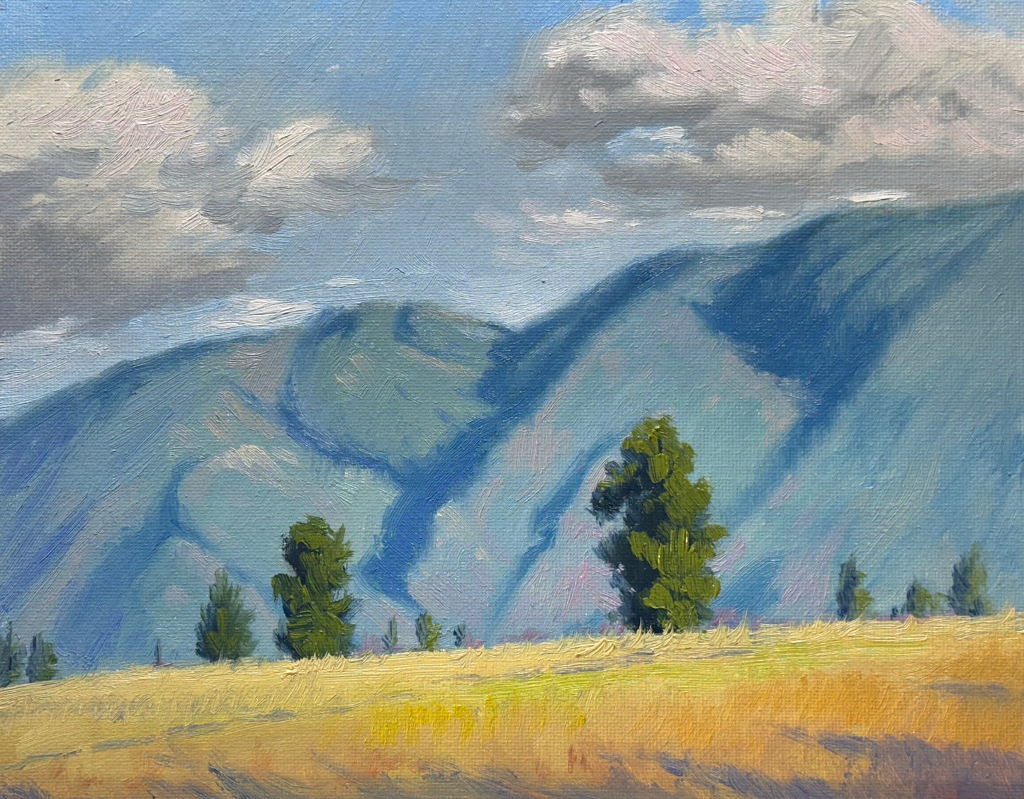 Sunlit valleys in the Okanagan 10"x8"- hand painted without frame home decor