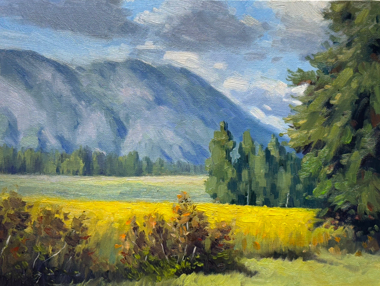 Sunlit valleys in the Okanagan 11"x9"- hand painted without frame home decor