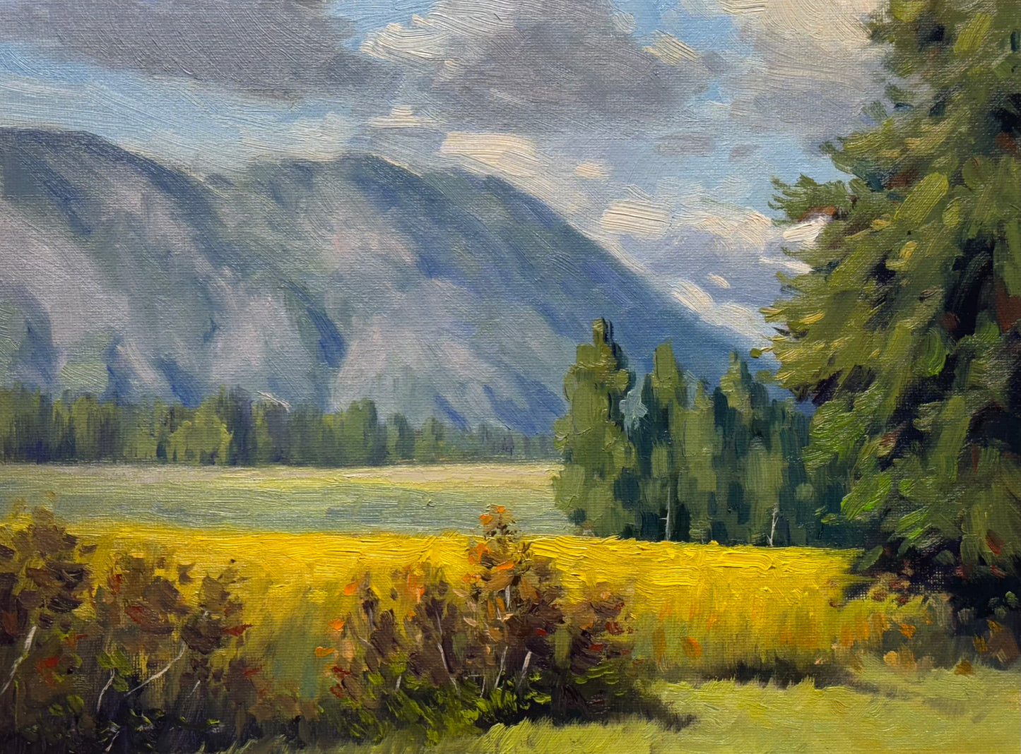 Sunlit valleys in the Okanagan 11"x9"- hand painted without frame home decor