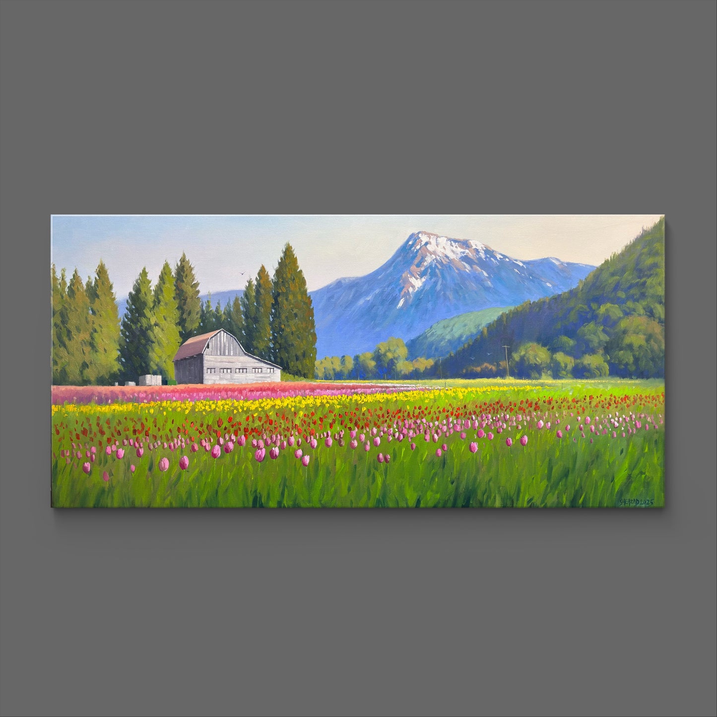 The Colors of Harrison Tulip Festival”  Oil painting 4x2 Ft -Gallery Quality Canvas