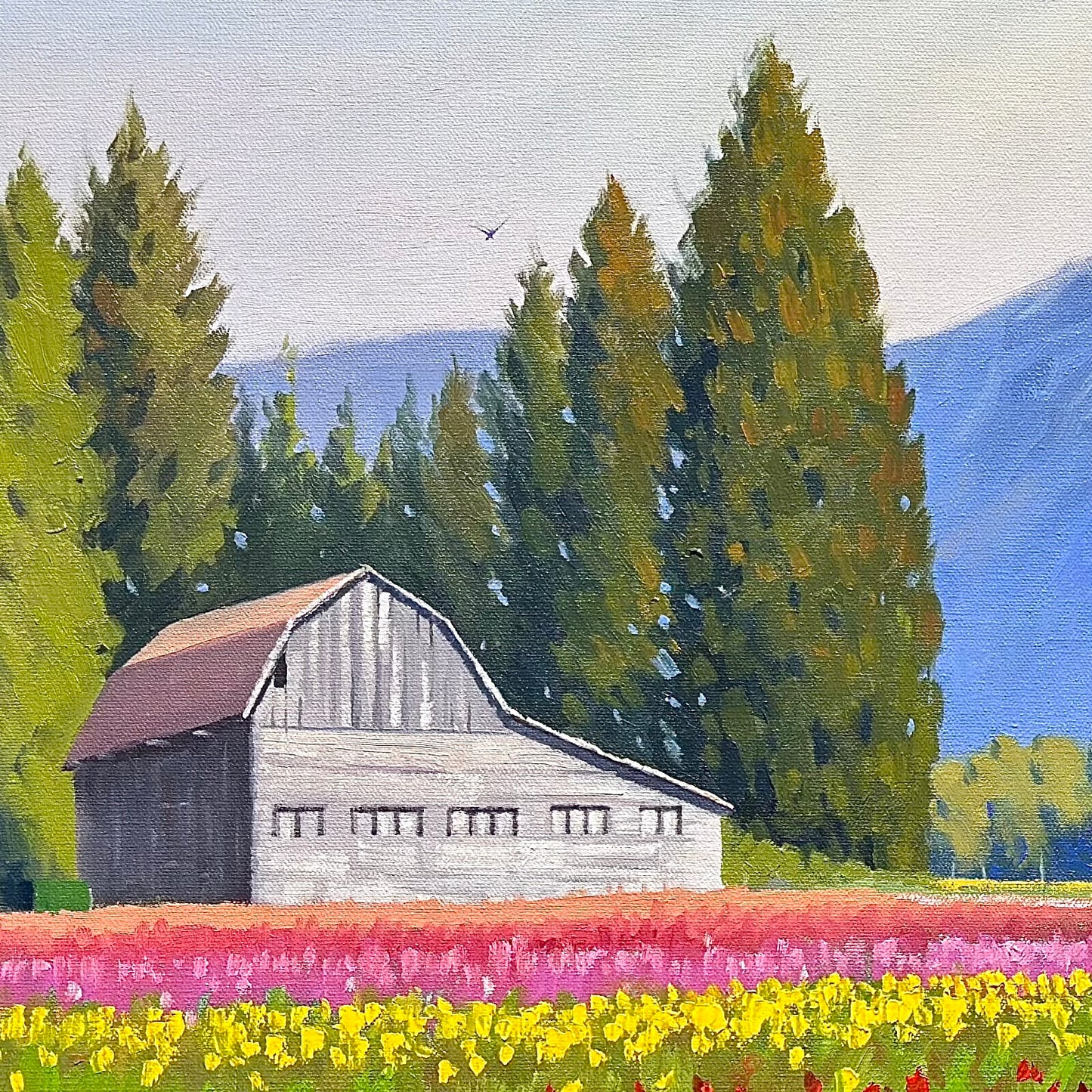 The Colors of Harrison Tulip Festival”  Oil painting 4x2 Ft -Gallery Quality Canvas