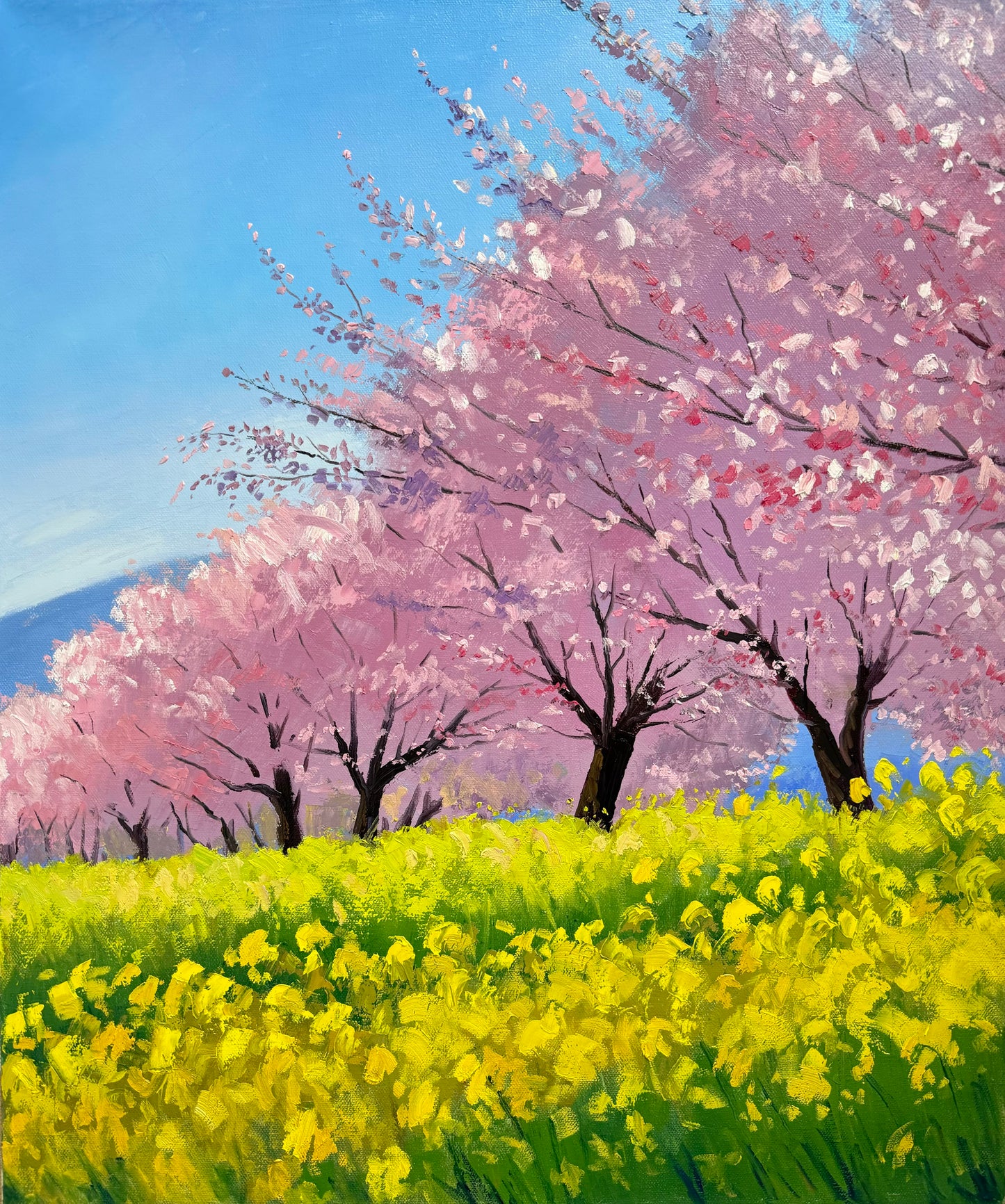 20"x24" Original oil painting on Stretched Canvas without frame Cherry blossoms mustard flower