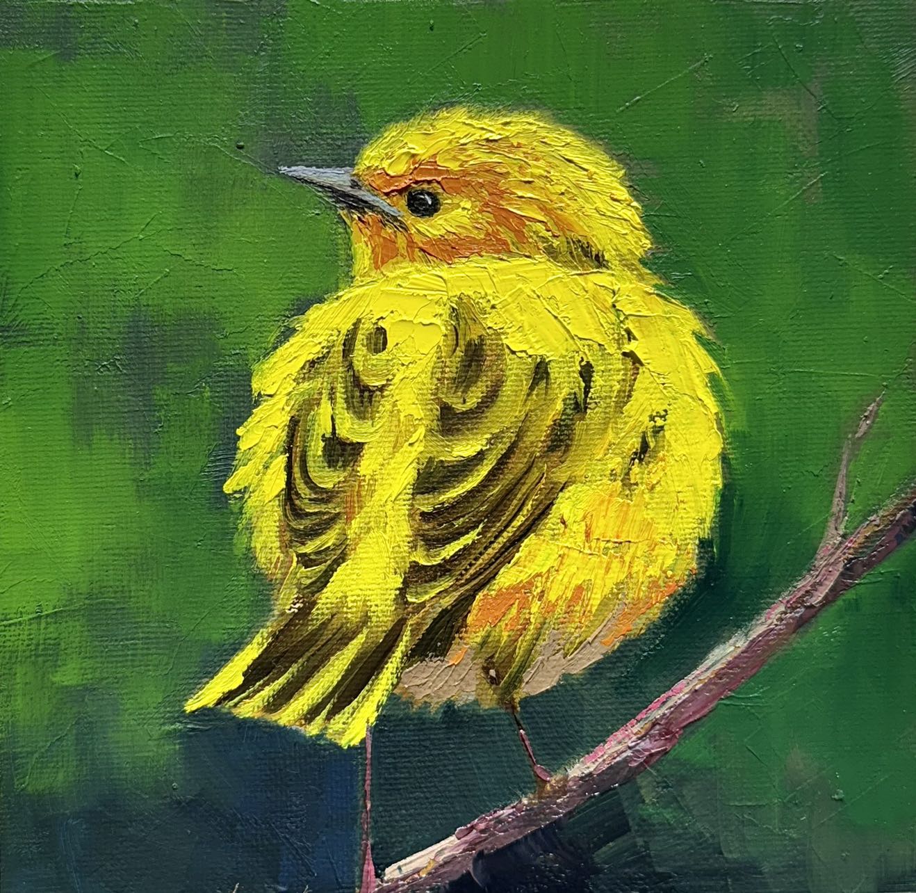 6"x6" Original  yellow Warbler oil painting on Canvas panel  Wall Art Home Decor