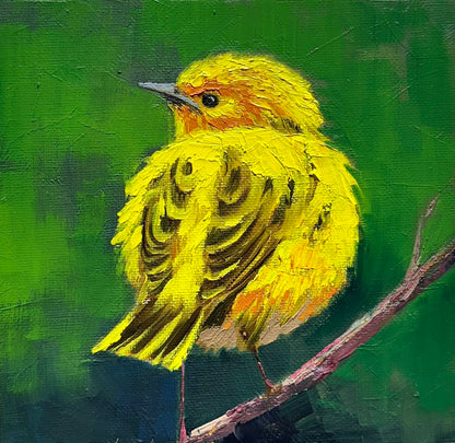 6"x6" Original  yellow Warbler oil painting on Canvas panel  Wall Art Home Decor