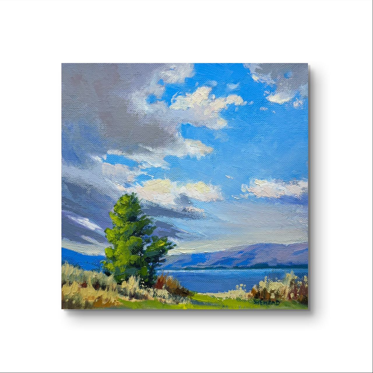 6'x6" Knox mountain okanagan lake in kelowna landscape original oil painting on canvas panel