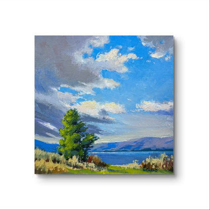 6'x6" Knox mountain okanagan lake in kelowna landscape original oil painting on canvas panel