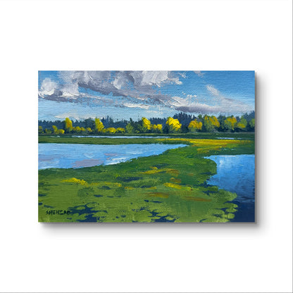 5"x7" Burnaby lake regional park Original landscape oil painting on Canvas panel without frame Home Decor