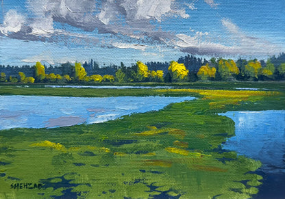 5"x7" Burnaby lake regional park Original landscape oil painting on Canvas panel without frame Home Decor