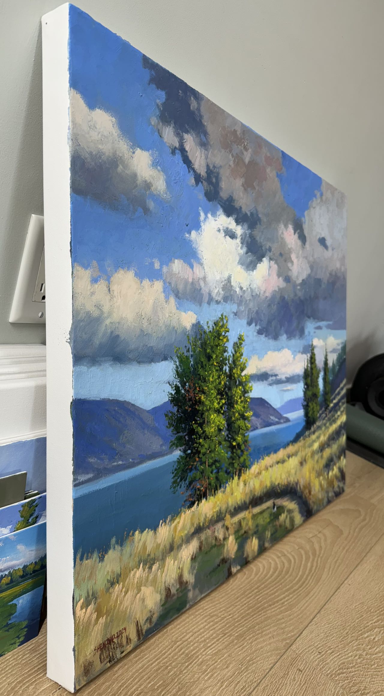 24"x30" Kelowna Knox mountain original landscape oil painting on stretched canvas