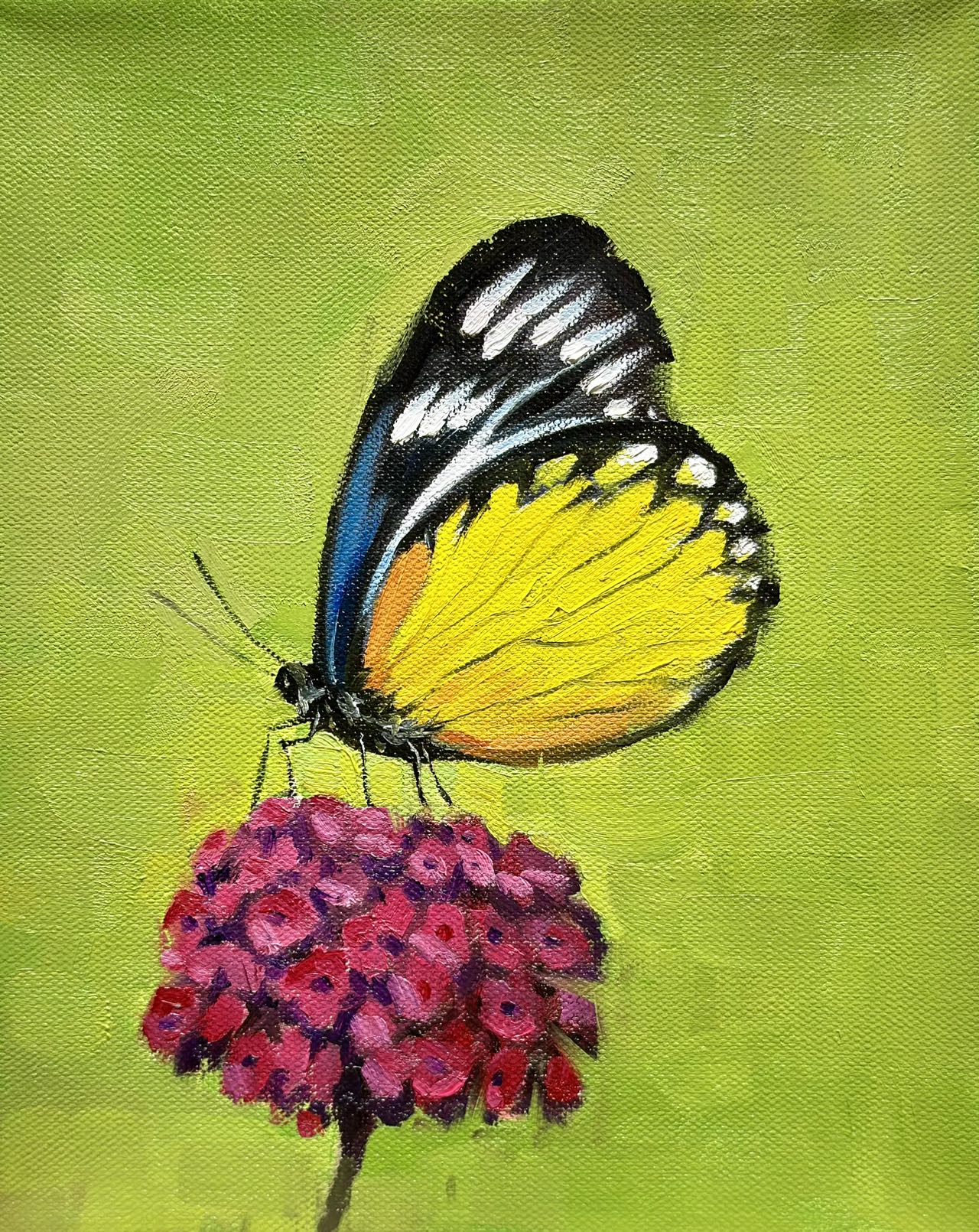 8"x10" Butterfly art Original handmade oil painting art on Stretched Canvas wall art decor