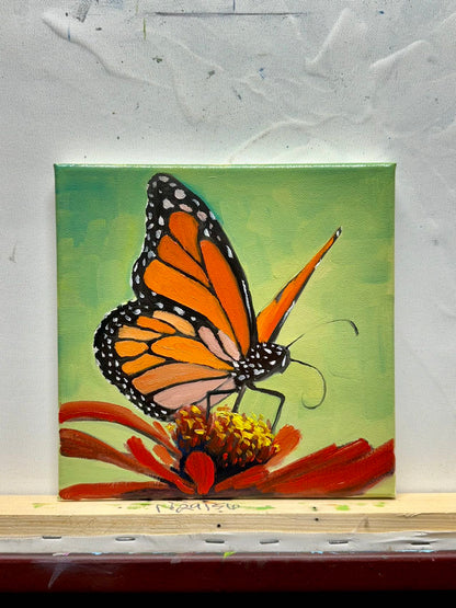 8"x8" Butterfly art Original handmade oil painting art on Stretched Canvas wall art