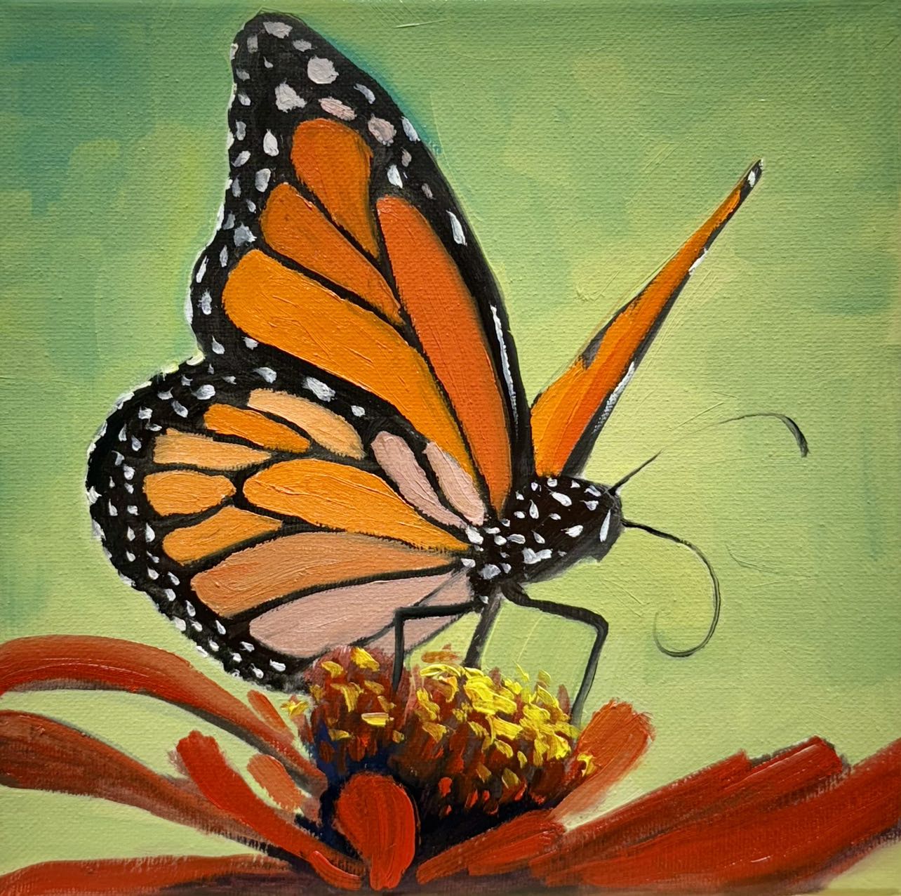 8"x8" Butterfly art Original handmade oil painting art on Stretched Canvas wall art