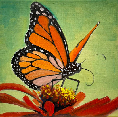 8"x8" Butterfly art Original handmade oil painting art on Stretched Canvas wall art