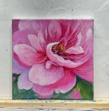 8"x8" Pink flower original oil painting on stretched Canvas/wall art decor